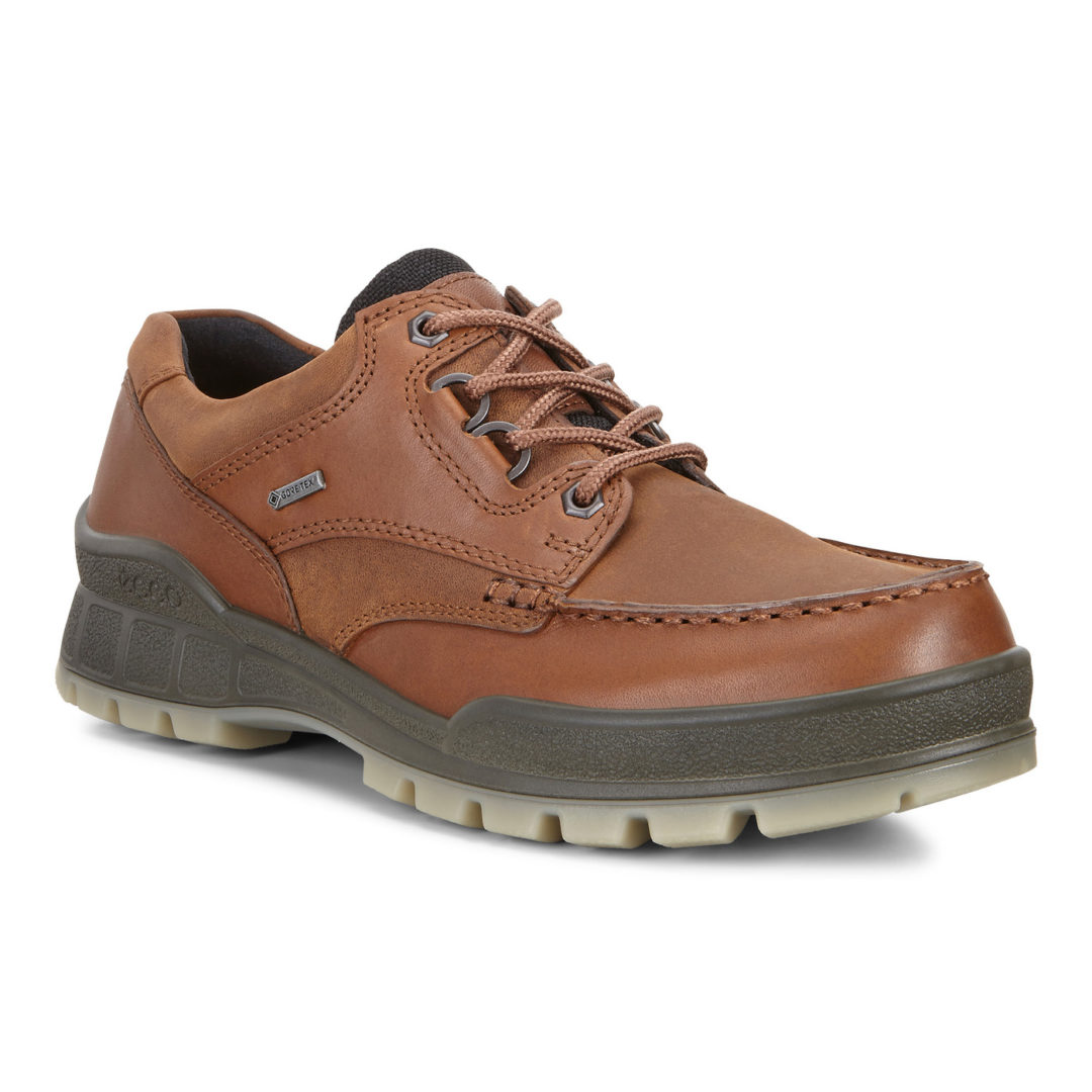 ECCO Men's Track 25 Low Shoe Bison | Laurie's Shoes