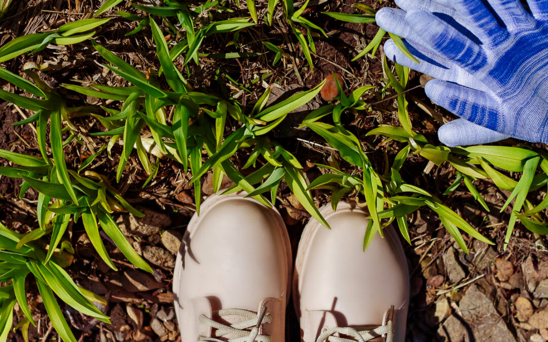 Eco-Friendly Footwear: Sustainable Options for a Greener Planet